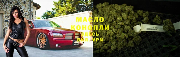 мдпв Богородицк